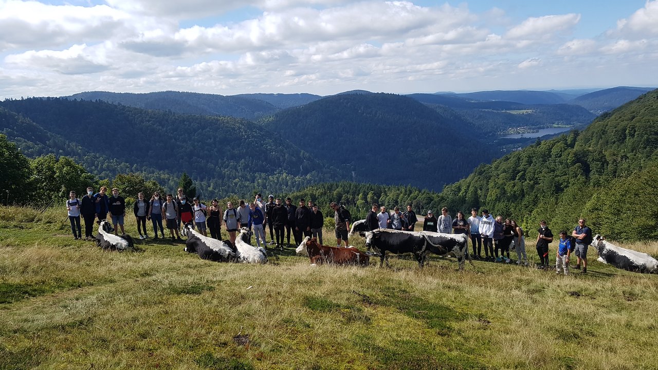 Sortie d'intégration